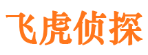 开阳调查公司